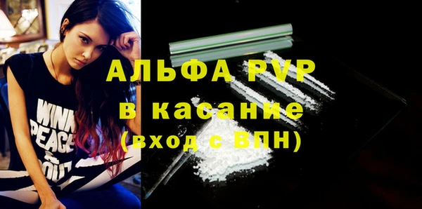 твердый Арсеньев