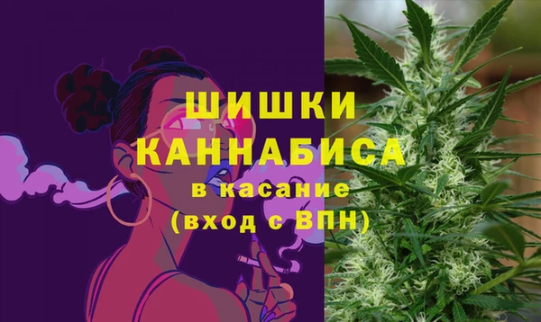 винт Алзамай