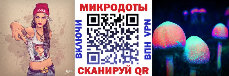 Псилоцибиновые грибы мицелий  Ахтубинск 